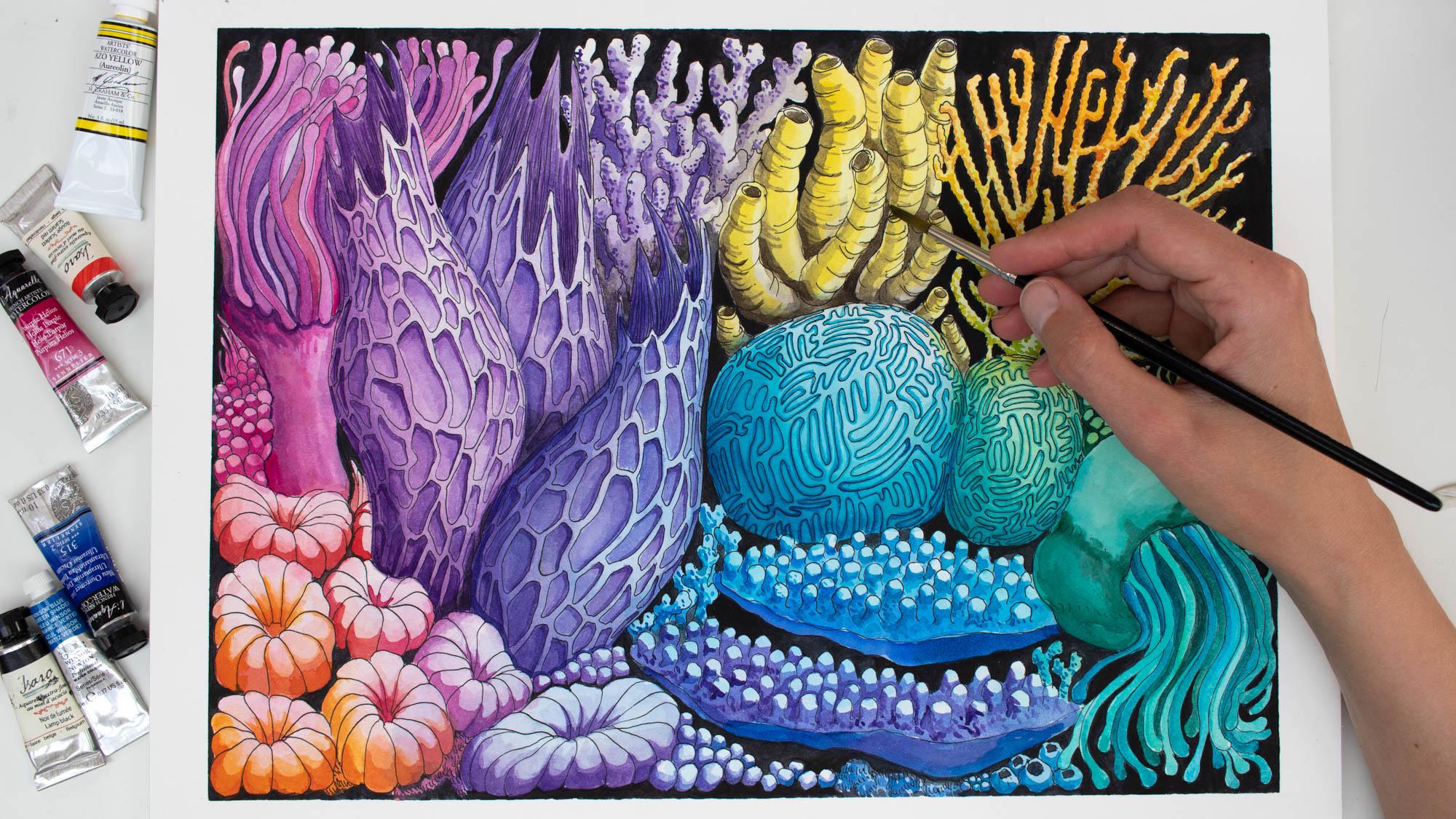 How To Draw Coral