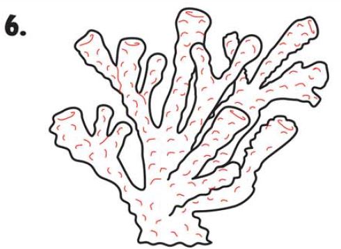 How To Draw Coral